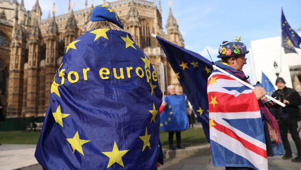 Демонстрация против Брексит (Brexit) перед Парламентом в Лондоне, архивное фото - Sputnik Lietuva