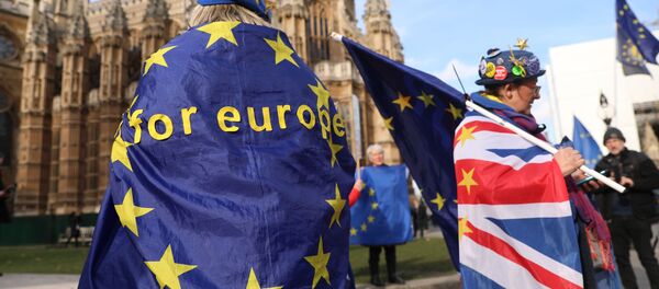 Демонстрация против Брексит (Brexit) перед Парламентом в Лондоне, архивное фото - Sputnik Литва