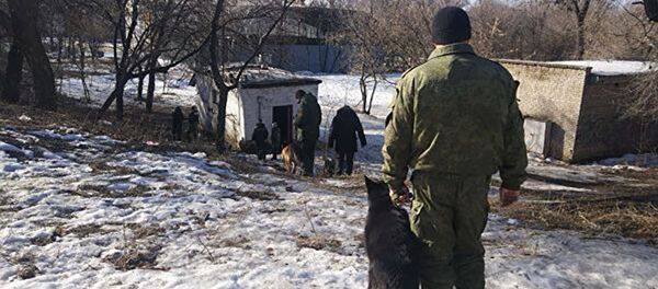 Donecko sritis Donecko sritis - Sputnik Lietuva