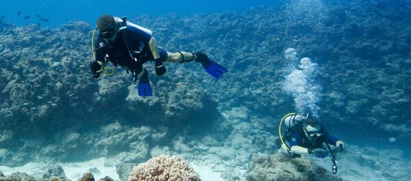 Narai Narai - Sputnik Lietuva