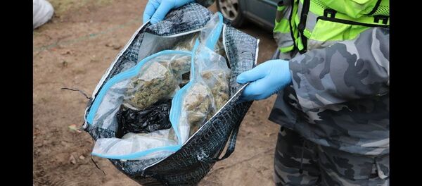 Kaune sulaikyti narkotikų platintojai, bandę pasprukti nuo pareigūnų Kaune sulaikyti narkotikų platintojai, bandę pasprukti nuo pareigūnų - Sputnik Lietuva