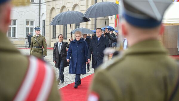 Президент Литвы Далия Грибаускайте с президентом Польши Анджеем Дудой - Sputnik Литва