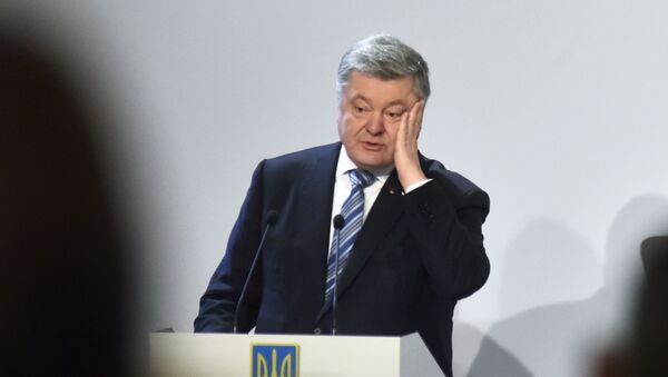 Президент Украины Петр Порошенко выступает в Совете регионального развития Львовщины, архивное фото - Sputnik Lietuva
