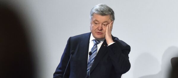 Президент Украины Петр Порошенко выступает в Совете регионального развития Львовщины, архивное фото - Sputnik Литва