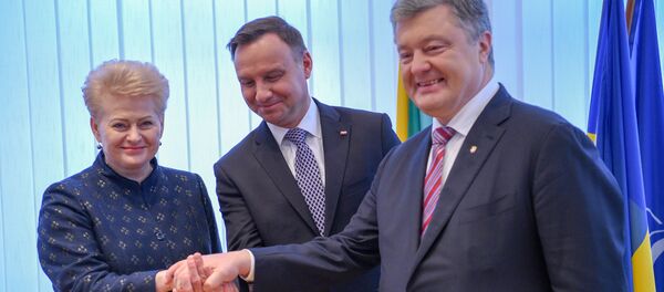 Президент Литвы Даля Грибауйскайте, президент Польши Анджей Дуда и президент Украины Петр Порошенко на встрече в Люблине - Sputnik Литва