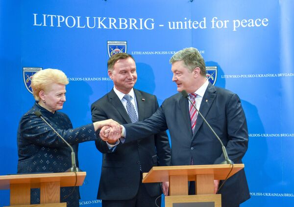 Президент Литвы готова предложить Евросоюзу новые санкции против России - Sputnik Литва