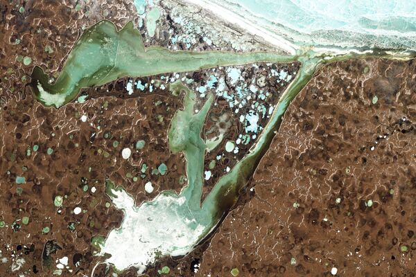 Вид из космоса на Хромскую губу и Омуляхскую губу в Сибири - Sputnik Литва