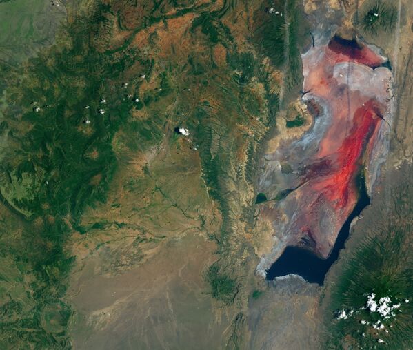Вид из космоса соленого и щелочного озера Натрон в Танзании - Sputnik Литва