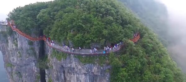 Мост в Китае The Coiling Dragon Cliff Skywalk Мост в Китае The Coiling Dragon Cliff Skywalk - Sputnik Lietuva