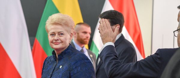 Президент Литвы Даля Грибаускайте на встрече Бухарестской девятки, архивное фото - Sputnik Литва