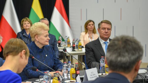 Президент Литвы Даля Грибаускайте на встрече Бухарестской девятки, архивное фото - Sputnik Литва