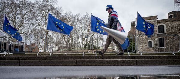 Protestuojantis prieš Brexit Protestuojantis prieš Brexit - Sputnik Lietuva