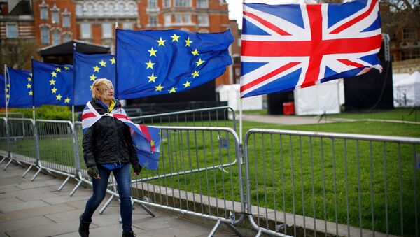 Противница Brexit около здания британского парламента, 4 марта 2019 года - Sputnik Lietuva