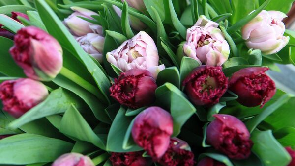Сбор цветов к 8 Марта в Ставропольском крае - Sputnik Литва