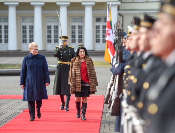 Литва готова помочь Грузии выполнить домашнее задание по демократии Литва готова помочь Грузии выполнить домашнее задание по демократии - Sputnik Литва