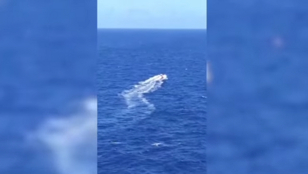 Спасение людей с упавшего самолета в Карибском море сняли на видео - Sputnik Литва