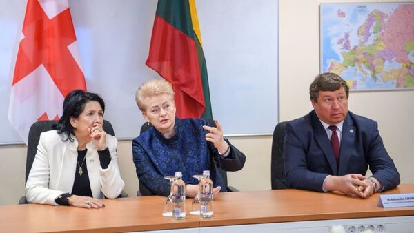 Литва и Грузия договорились о сотрудничестве в сфере кибербезопасности - Sputnik Литва