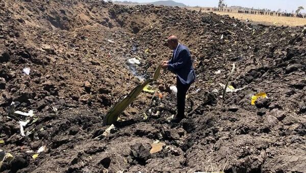 Lėktuvo Boeing-737 katastrofos Etiopijoje vietoje - Sputnik Lietuva