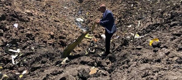 Lėktuvo Boeing-737 katastrofos Etiopijoje vietoje Lėktuvo Boeing-737 katastrofos Etiopijoje vietoje - Sputnik Lietuva