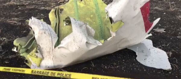 Кадры с места крушения лайнера Boeing-737 в Эфиопии - Sputnik Литва