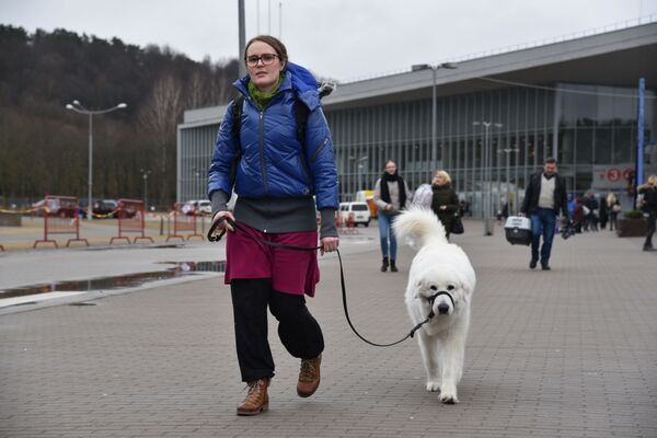 Международная выставка собак в Вильнюсе - Sputnik Литва