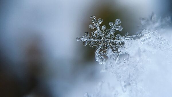Снежинка, архивное фото - Sputnik Литва