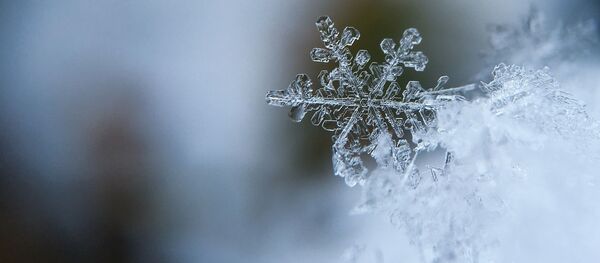 Снежинка - Sputnik Литва