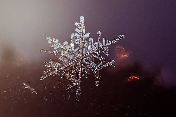 Фото Снежинка вблизи - Sputnik Литва