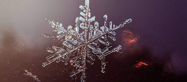 Фото Снежинка вблизи Фото Снежинка вблизи - Sputnik Lietuva