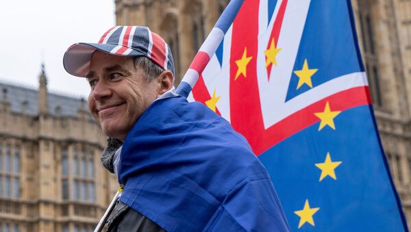 Активист по борьбе с Brexit держит флаг во время демонстрации возле здания парламента в Лондоне, 12 марта 2019 года - Sputnik Lietuva