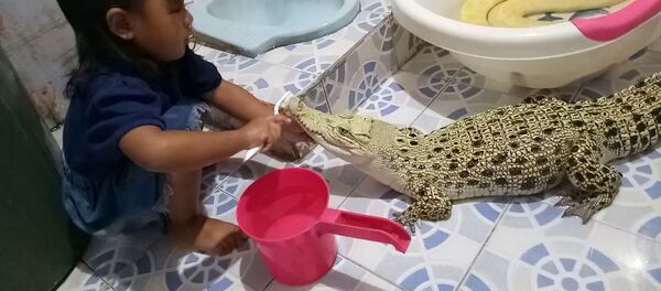 Šokiruojantis vaizdo įrašas: maža mergaitė valo dantis krokodilui Šokiruojantis vaizdo įrašas: maža mergaitė valo dantis krokodilui - Sputnik Lietuva