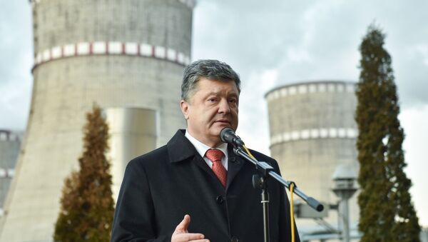 Президент Украины П. Порошенко, архивное фото - Sputnik Литва
