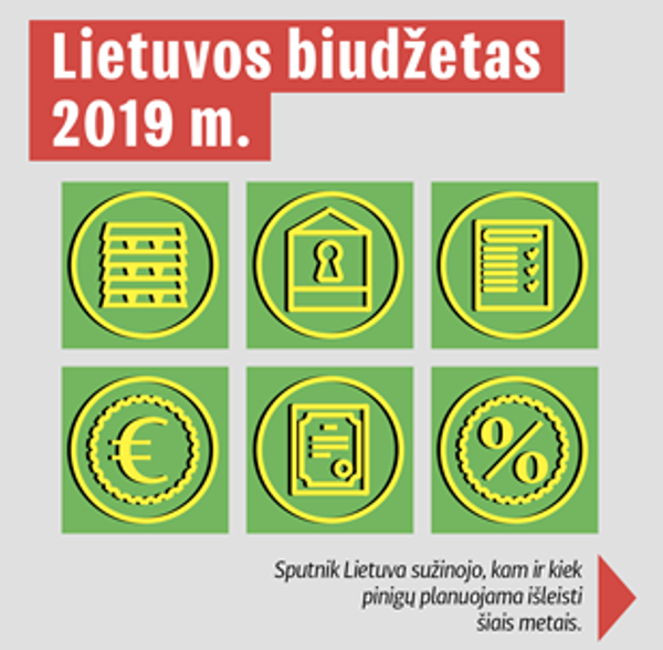 Pirmąjį šių metų pusmetį valstybės biudžeto pajamos viršijo prognozuotąsias Pirmąjį šių metų pusmetį valstybės biudžeto pajamos viršijo prognozuotąsias - Sputnik Lietuva