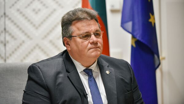Lietuvos užsienio reikalų ministras Linas Linkevičius - Sputnik Lietuva