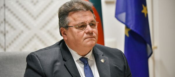 Linas Linkevičius, archyvinė nuotrauka Linas Linkevičius, archyvinė nuotrauka - Sputnik Lietuva