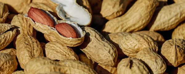 žemės riešutai žemės riešutai - Sputnik Lietuva