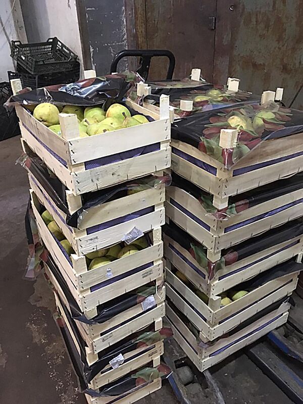 В России уничтожили более тонны продуктов из Литвы В России уничтожили более тонны продуктов из Литвы - Sputnik Литва