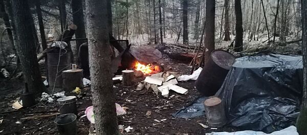 Белорус варил самогон в лесу рядом с литовской границей Белорус варил самогон в лесу рядом с литовской границей - Sputnik Литва
