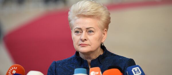 Президент Литвы Даля Грибаускайте, архивное фото - Sputnik Литва