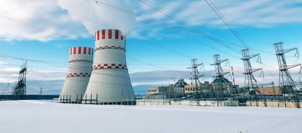 Нововоронежская АЭС, архивное фото Нововоронежская АЭС, архивное фото - Sputnik Литва