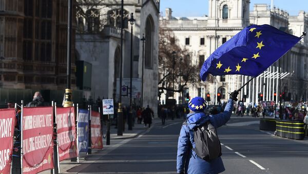 Участница акции протеста против Brexit с флагами ЕС около парламента Британии, 25 марта 2019 года - Sputnik Lietuva