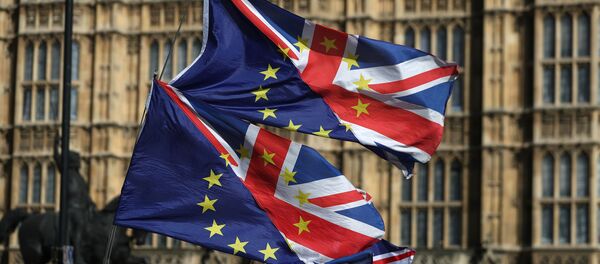 Флаги протестующих против Brexit около парламента Британии, 25 марта 2019 года - Sputnik Литва