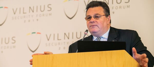 Užsienio reikalų ministras Linas Linkevičius Užsienio reikalų ministras Linas Linkevičius - Sputnik Lietuva