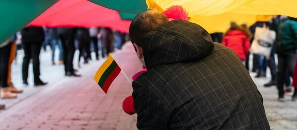 Флаг Литвы в Вильнюсе, архивное фото - Sputnik Литва