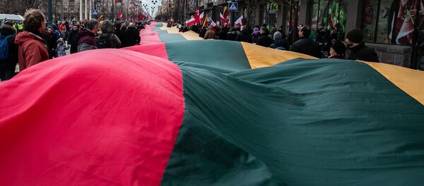 Флаг Литвы в Вильнюсе, архивное фото Флаг Литвы в Вильнюсе, архивное фото - Sputnik Lietuva