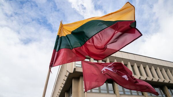Флаг Литвы, архивное фото - Sputnik Lietuva