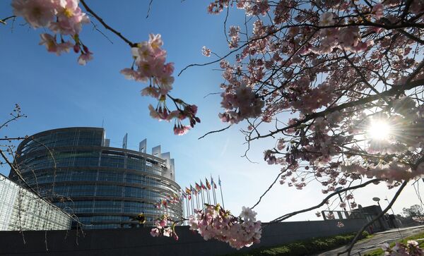 Цветущая вишня у здания Европейского парламента в Страсбурге, Франция - Sputnik Lietuva
