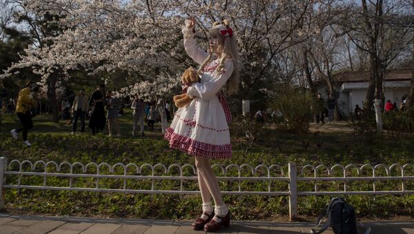 Девушка в костюме героини из японской манги фотографируется с цветущей сакурой в Пекне - Sputnik Литва