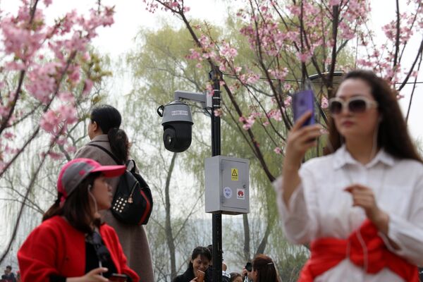 Люди фотографируются с цветущей вишней в Пекине - Sputnik Lietuva