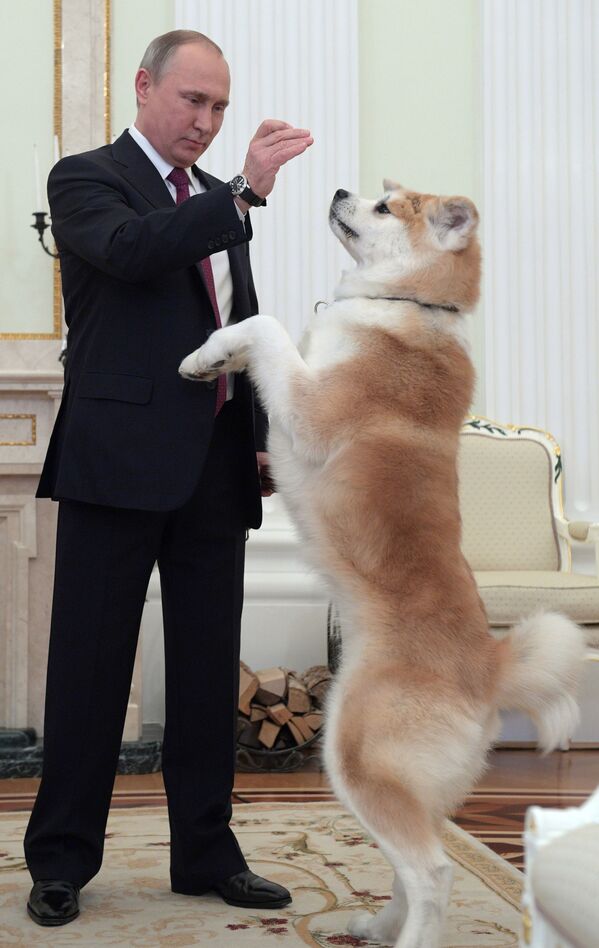 Президент России Владимир Путин с собакой Юмэ перед началом интервью в Кремле - Sputnik Литва